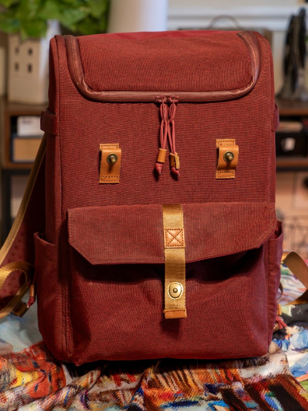 Langly Alpha Compact Camera Backpack - Picture 4 of 8